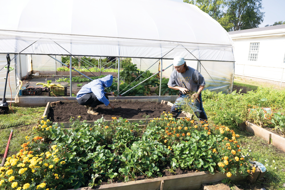 Employees planting winter squash at Faith CDC