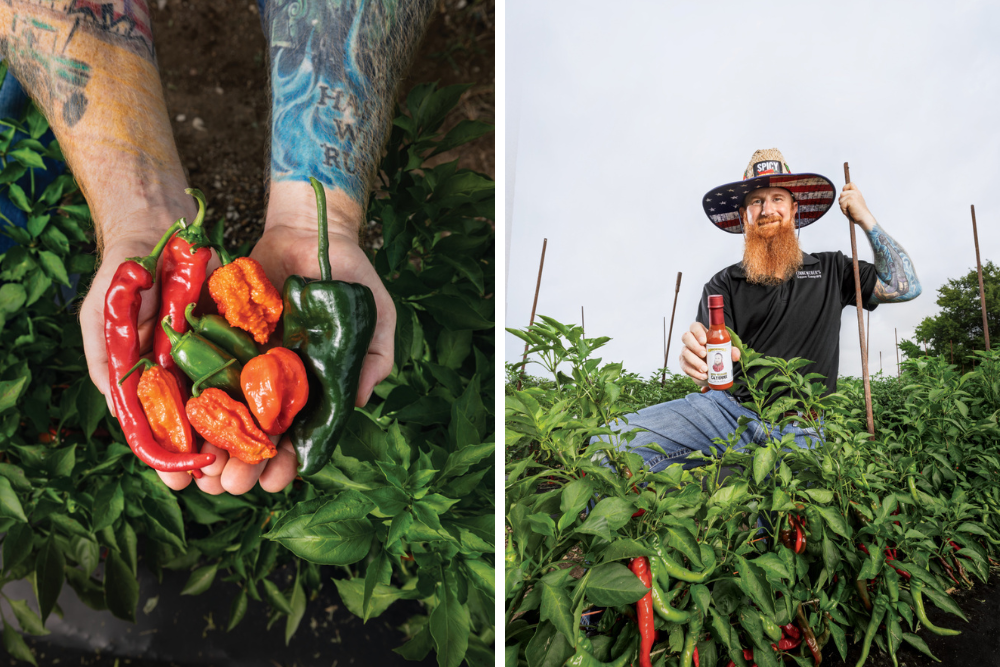 Left photo: Up-close of Chris Linneweber holding an array of peppers grown in Knox County for Linneweber's Sauce Company; Right photo: Chris Linneweber holding a bottle of Linneweber’s Sauce Company hot sauces in a field of peppers