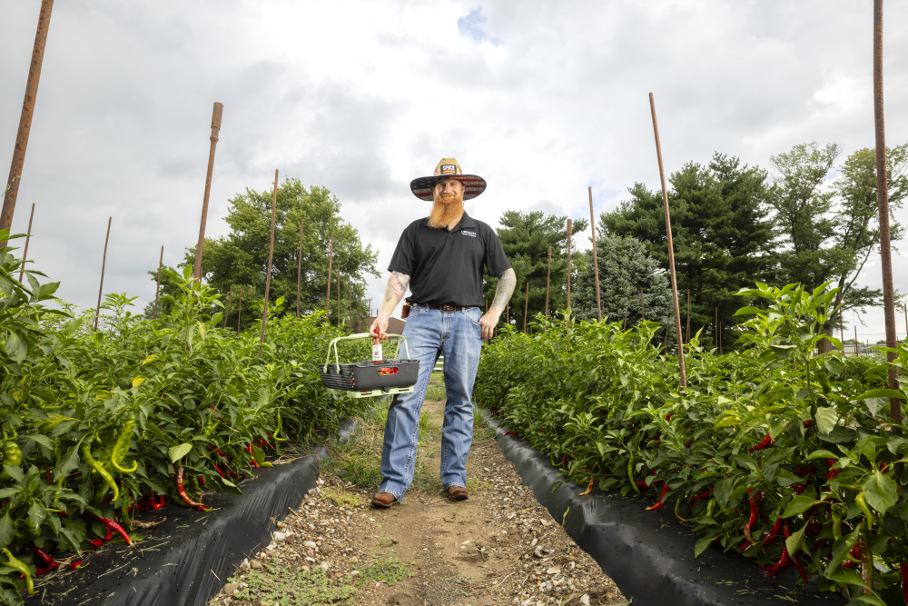 Chris Linneweber in his pepper fields that he grows for Linneweber’s Sauce Company